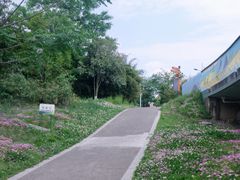 -白鹭湾湿地公园