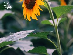 -廊坊文化艺术中心