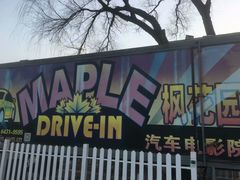 -枫花园汽车电影院(朝阳公园店)