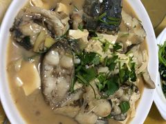 -煲来饱去冷水鱼