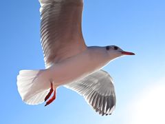 -丽江泸沽湖景区