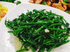 -刘记糟粕醋海鲜烧烤