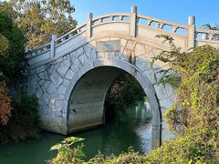 -八大山人梅湖景区
