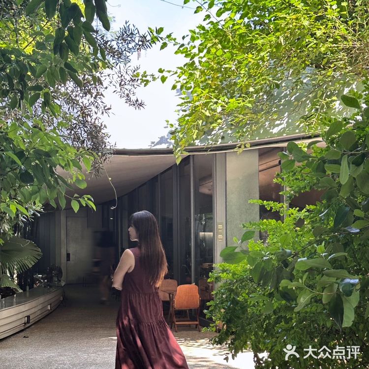 在上海 恋上绿薄荷味儿的夏天🍃