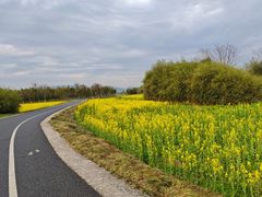 -良渚古城遗址公园