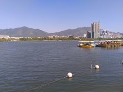 -飞来湖湿地公园