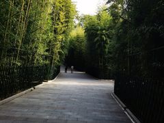 -红螺寺