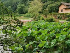 -韶山毛泽东同志故居