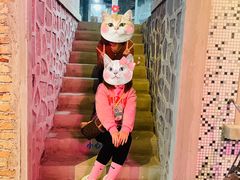 -奉天承·烤串·融合菜