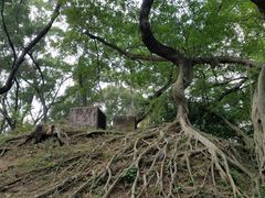-九龙公园