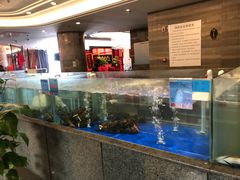 水产区-大铁勺新津菜(迎水道店)