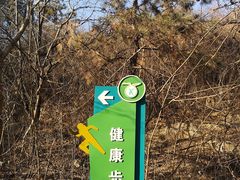 -府君山公园