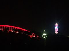 -金鸡山公园