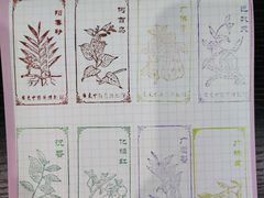 -广东中医药博物馆