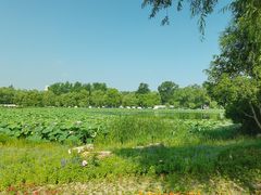 -长春市南湖公园