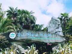 -苍山感通索道