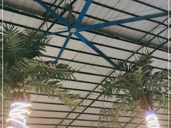 -石岐乳鸽村(南海第三分店)