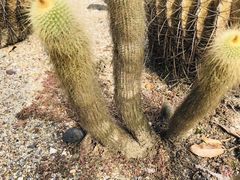 -Club Med地中海俱乐部·桂林度假村