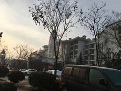 -随州碧桂园凤悦凤凰酒店