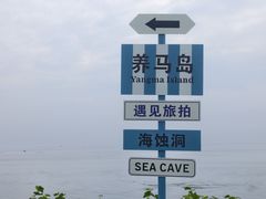 -养马岛旅游度假区