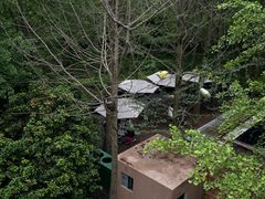 -陆家嘴中心绿地