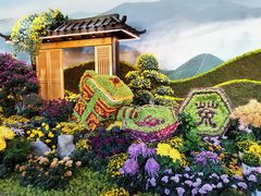-杭州植物园