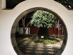 -上海醉白池公园