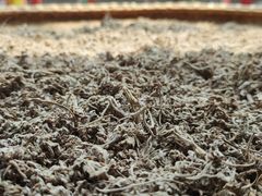 -璞真扎染博物馆