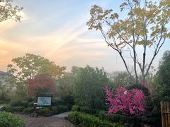 -田园东方蜜桃村的田野营地