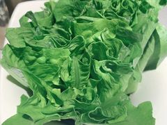 油麦菜-半天妖烤鱼(即墨宝龙广场店)