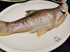 -吴记富苑(朝阳店)