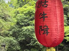 -石台牯牛降景区