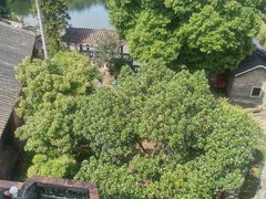 -东莞市可园博物馆