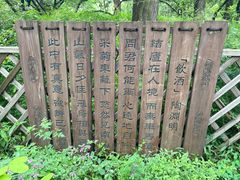 -香山公园