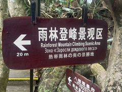 -呀诺达热带雨林