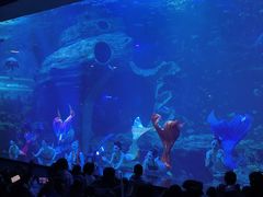 -多彩贵州城极地海洋世界