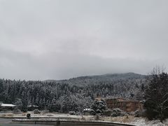 -武陵山森林公园