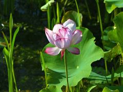 -昆山城市生态森林公园