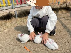 -武汉紫薇都市田园