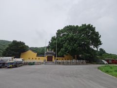-龙寺生态园