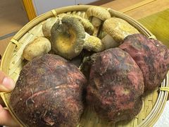 -菌极鲜野生菌火锅店(阳明祠店)