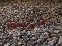 -青水瓦台(新村店)