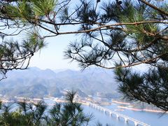 -千岛湖天屿景区