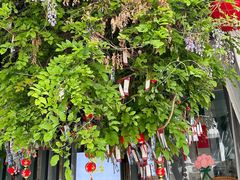 -纳地素食(石门公园店)