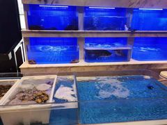 水产区-箸福·夜上海(雨花客厅店)