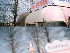 -上海辰山植物园