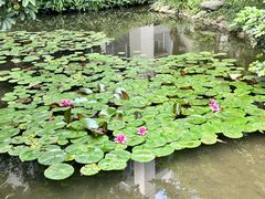 -成都中医药大学(温江校区)