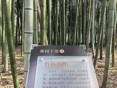 -汇龙潭