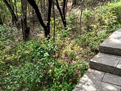 -云龙山