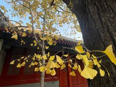 -承恩寺